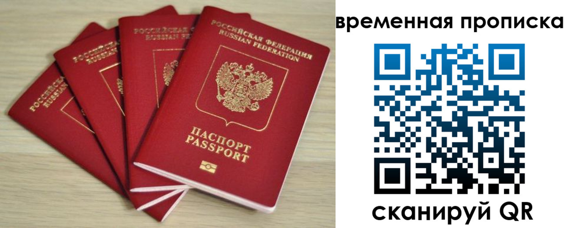 прописка для школы в Соколе
